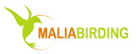 Malia Birding